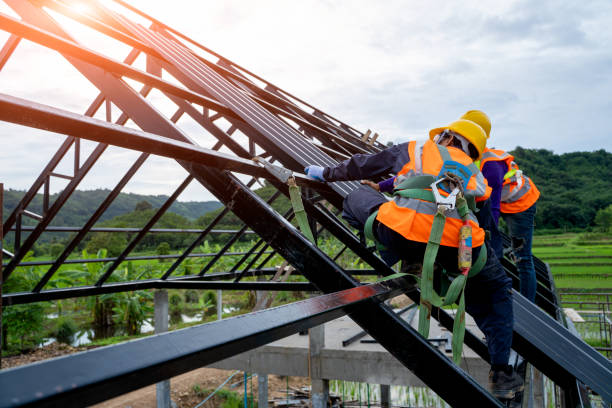 Roof Gutter Cleaning in Madisonville, KY