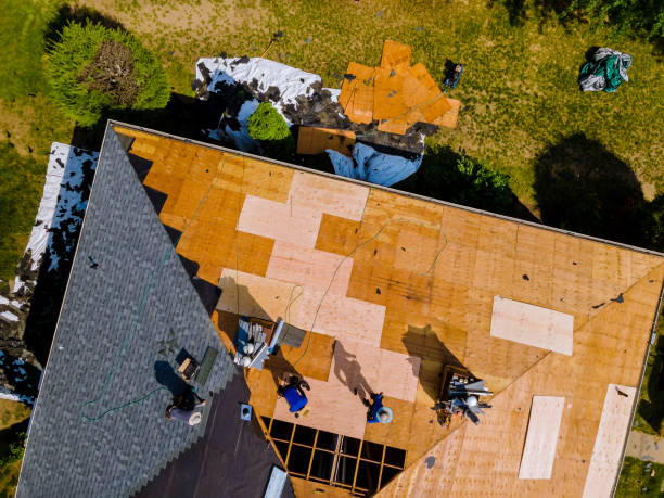 Best Gutter Installation and Roofing  in Madisonville, KY