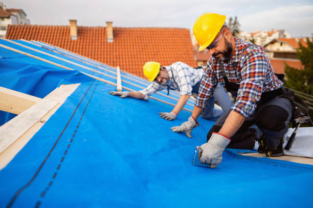 Professional Roofing Contractor in Madisonville, KY