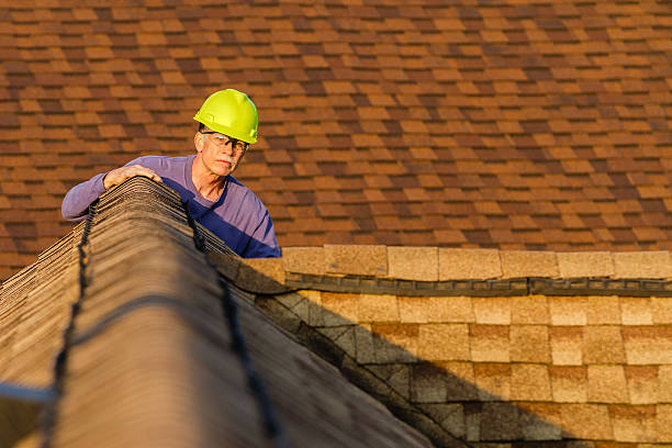 Best Roof Gutter Cleaning  in Madisonville, KY